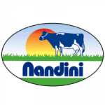 Nandini